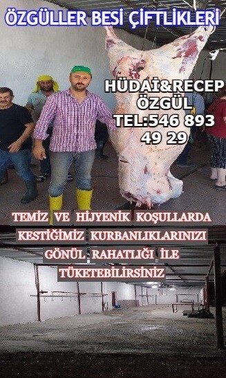 lAkkR.jpg