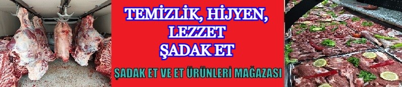 3lQXq.jpg