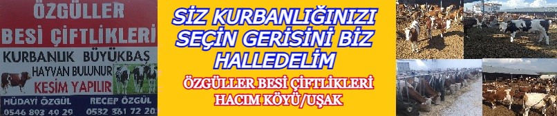 3lVy7.jpg