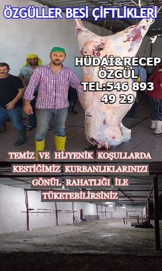 3oNQ7.jpg