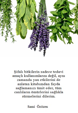 6aHz1.jpg