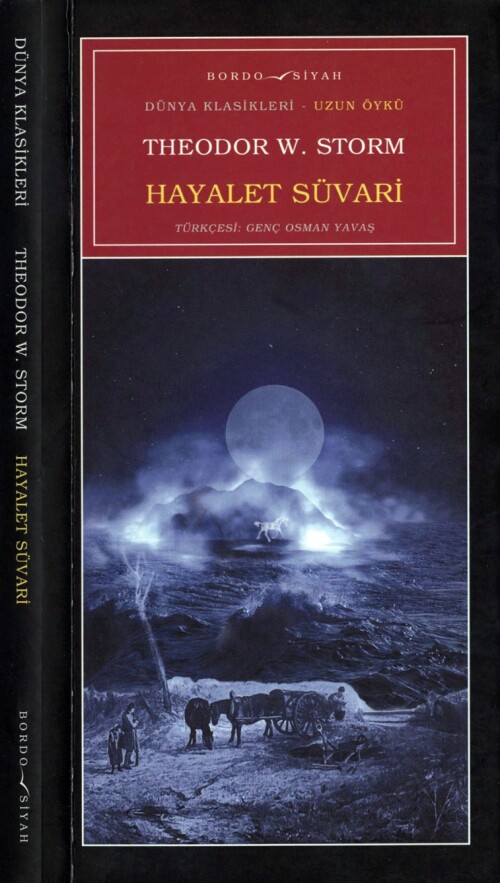 Theodor W. Storm Hayalet Süvari Bordo Siyah Yayınları 1