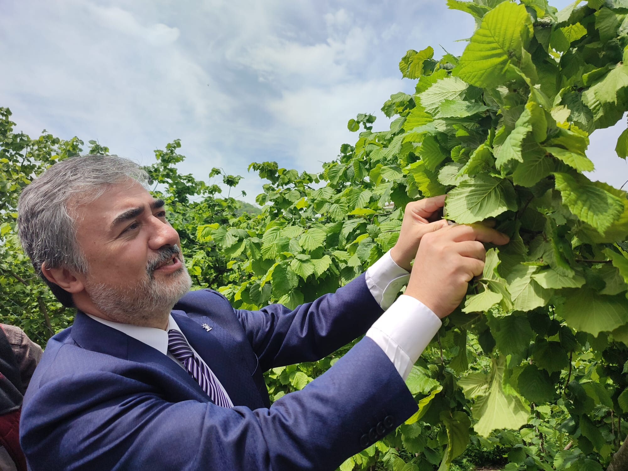 resim yükle