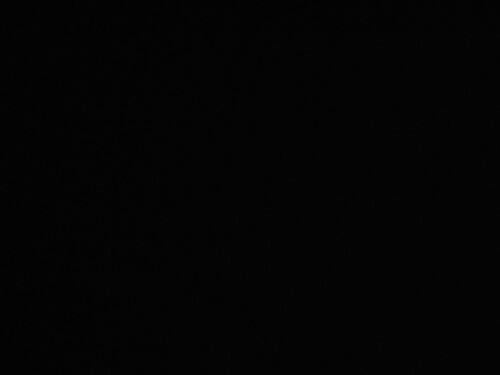 1682446439058 723043446
