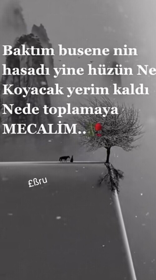 IMG 20230428 171452