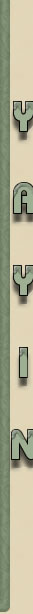 SNodqR.jpg