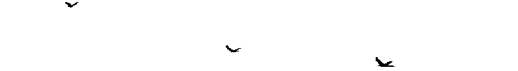 SCKGLF.gif