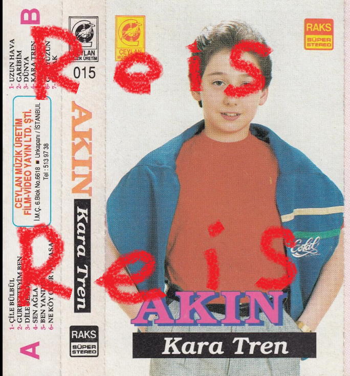 Resim