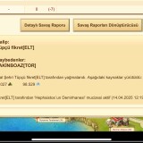 NVGFsi