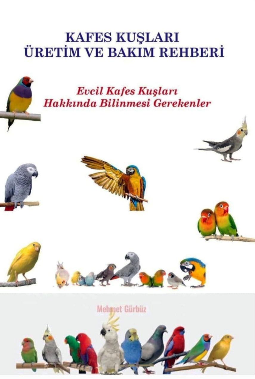 resim yükle
