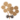 Tdzwzj.gif
