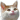 TkVLMT.gif