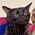 XMcq0n.gif