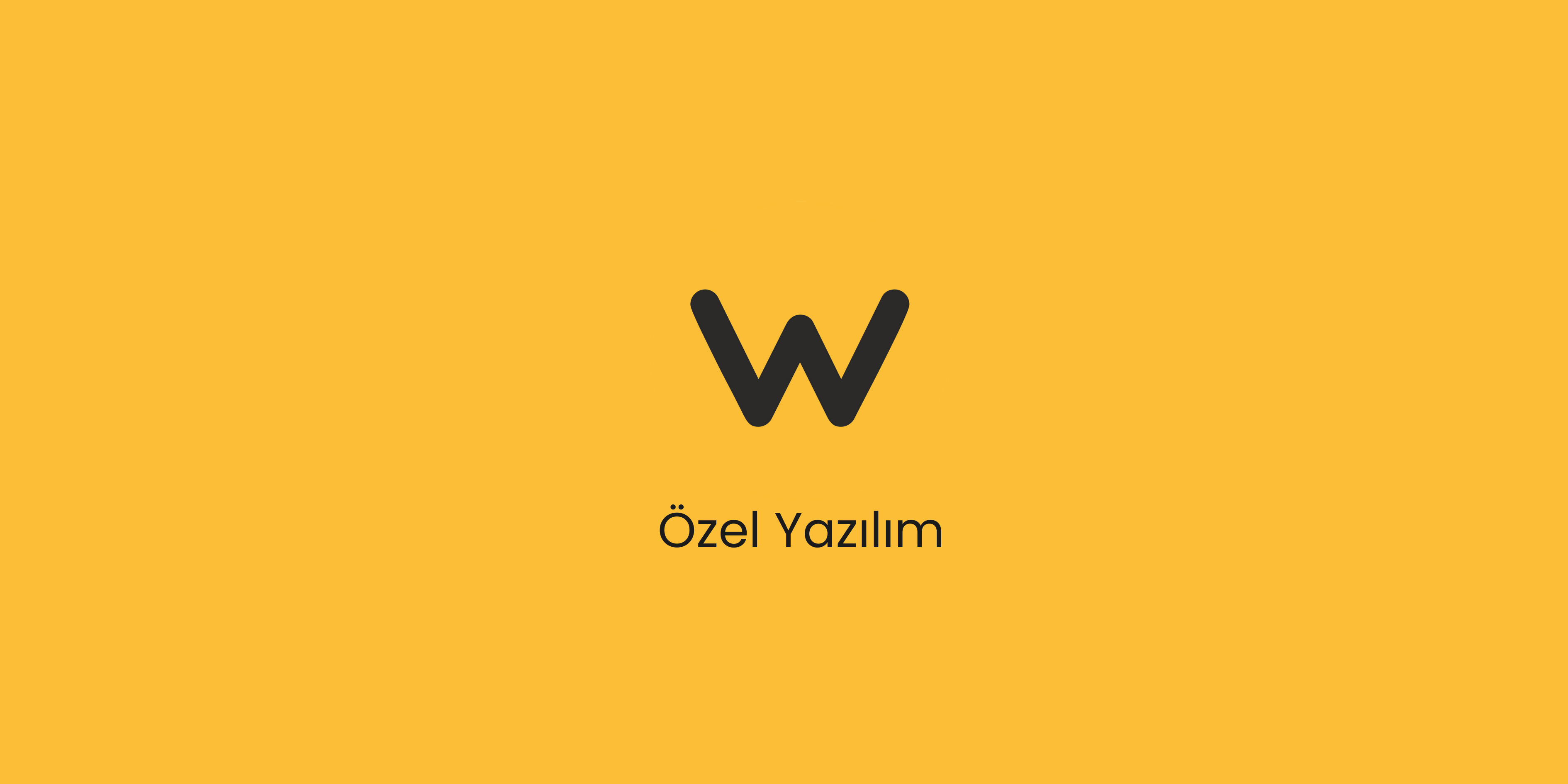 Özel Yazılım