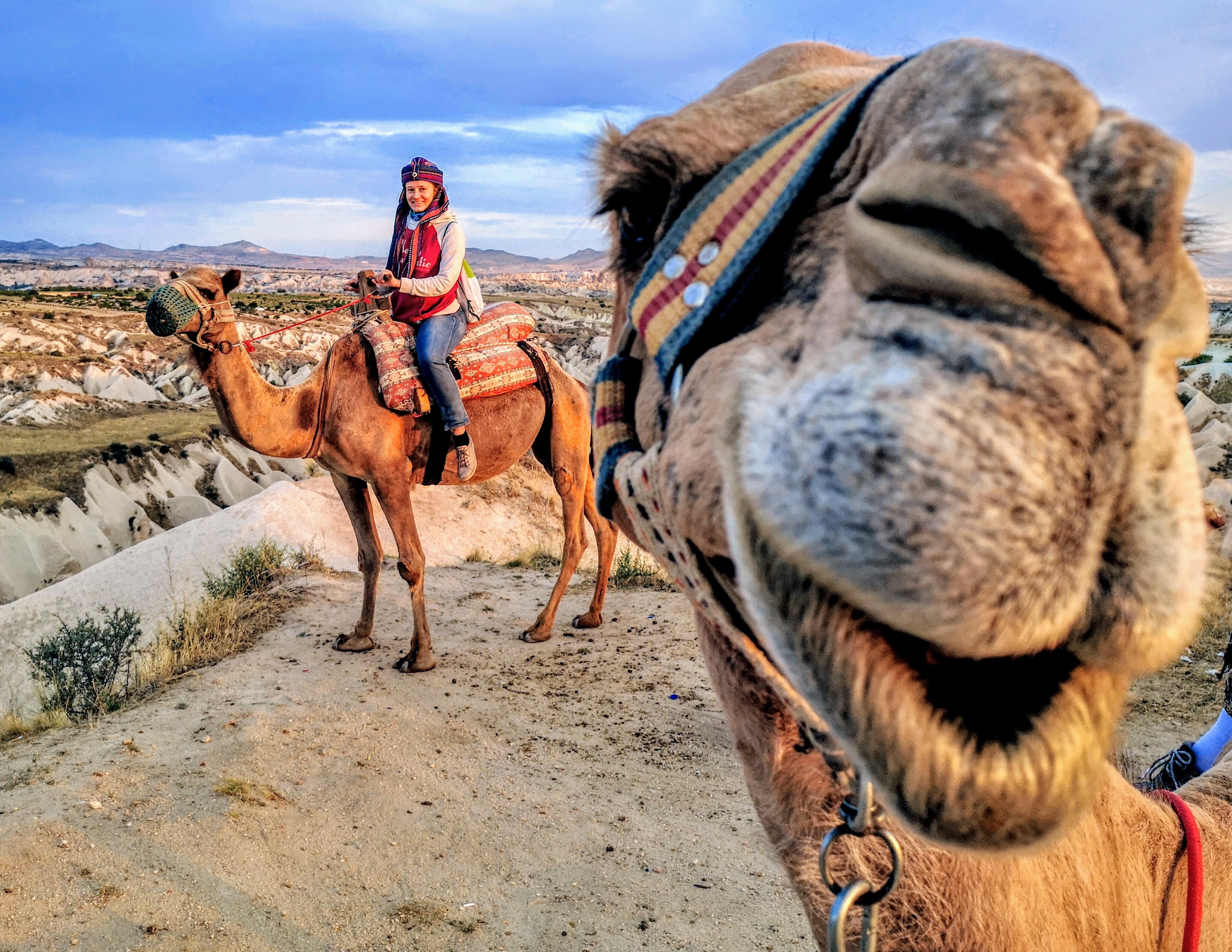Camel Tour Cappadocia