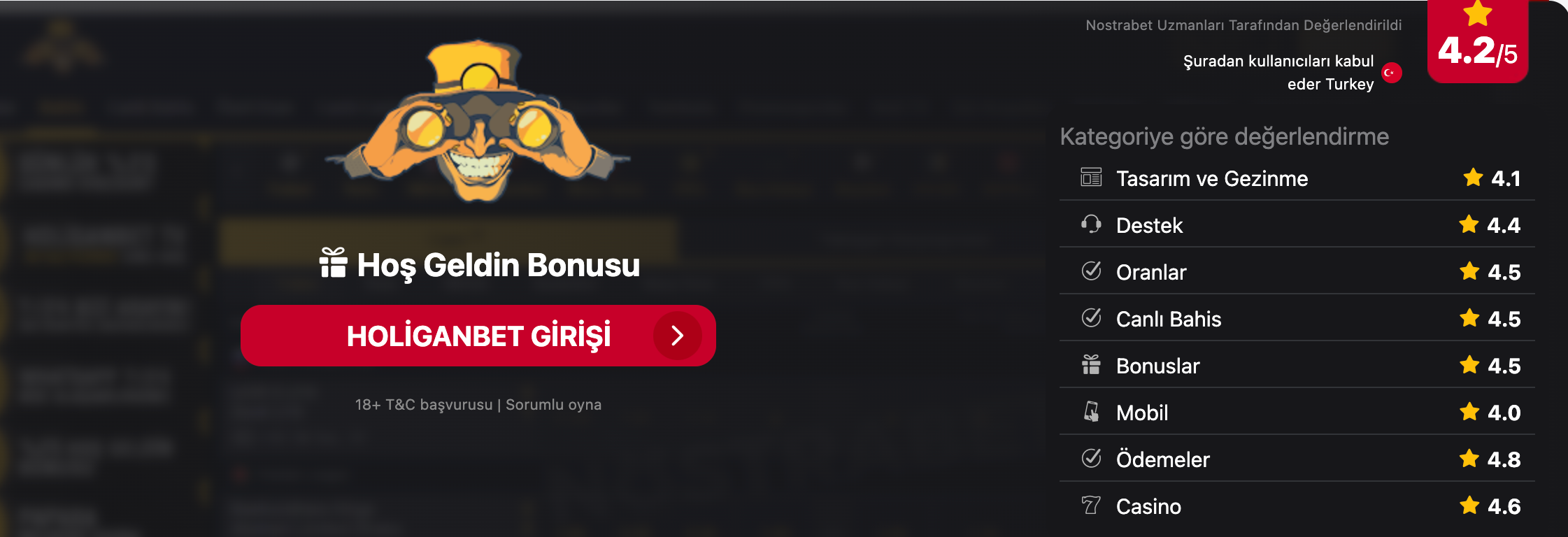 Holiganbet güncel kampanya görseli