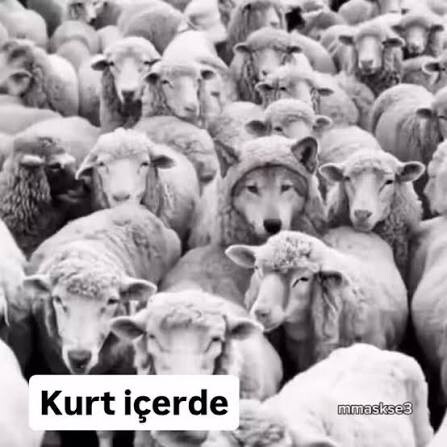 CEHUJi.jpg