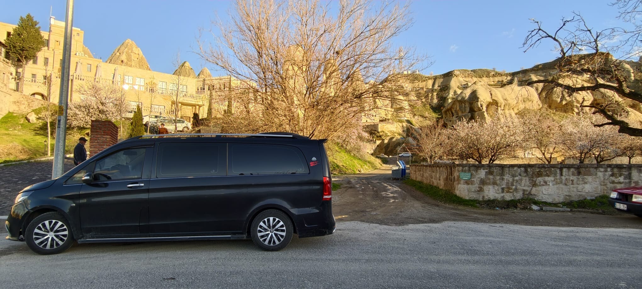 Professional driver service