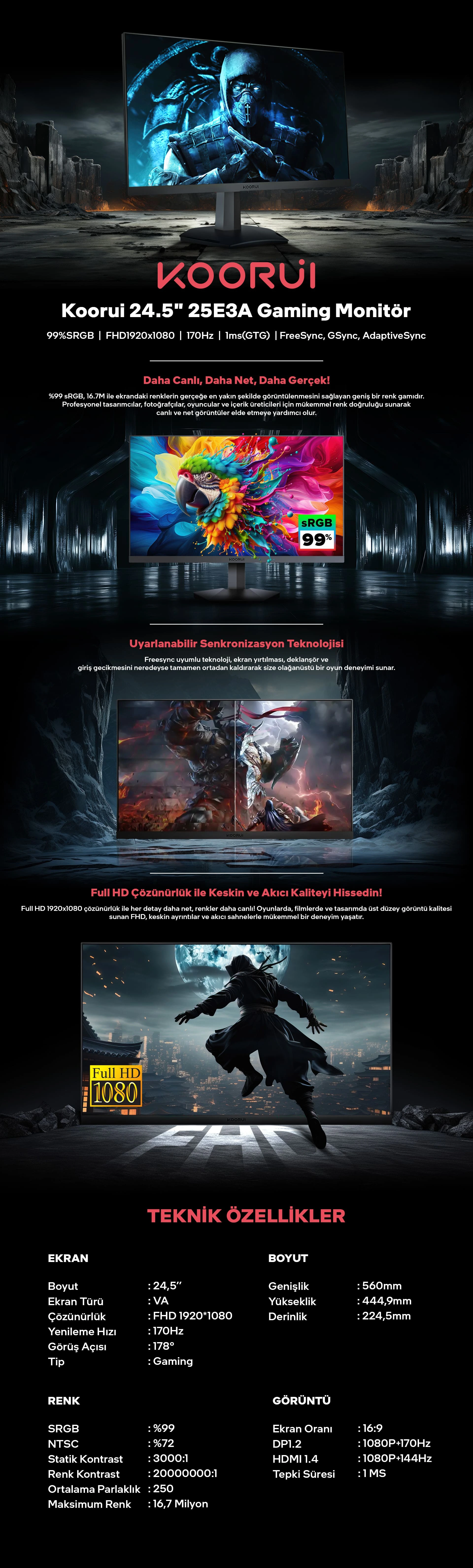 KOORUI 25E3A VA Panel 24,5" Full-HD 1MS 170 Hz Gaming Monitör