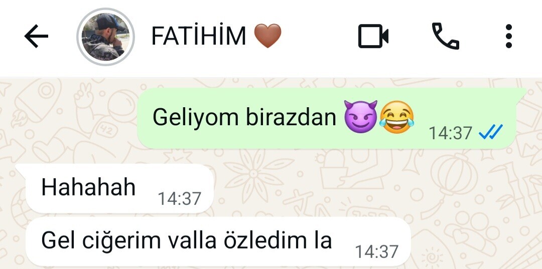 resim