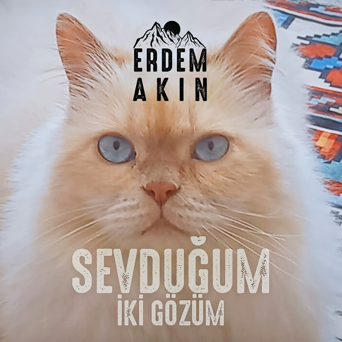 Resim