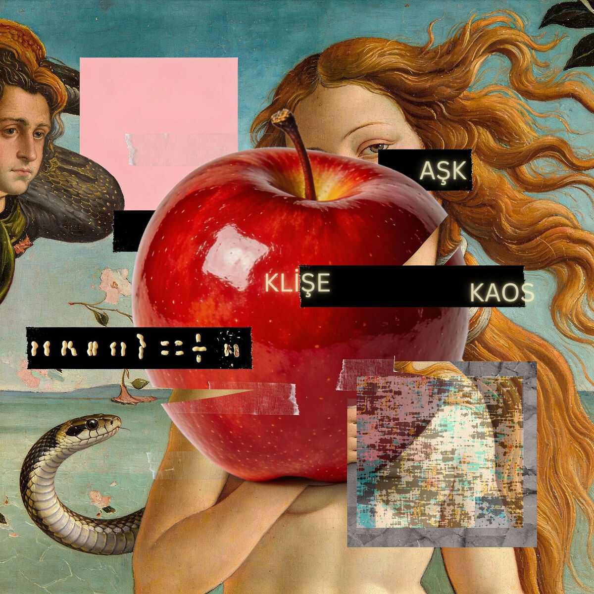 Resim