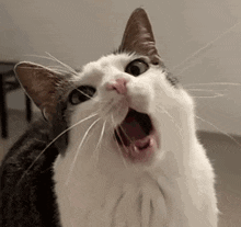 E5h1Mk.gif