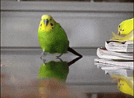 ERpGQb.gif