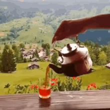 EnMRcy.gif