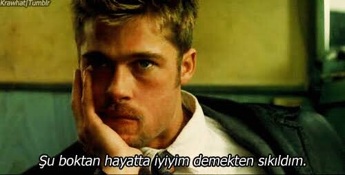 EnfVvH.jpg