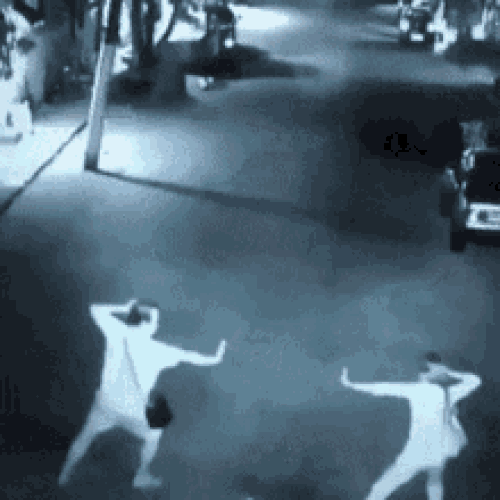 EnebH2.gif