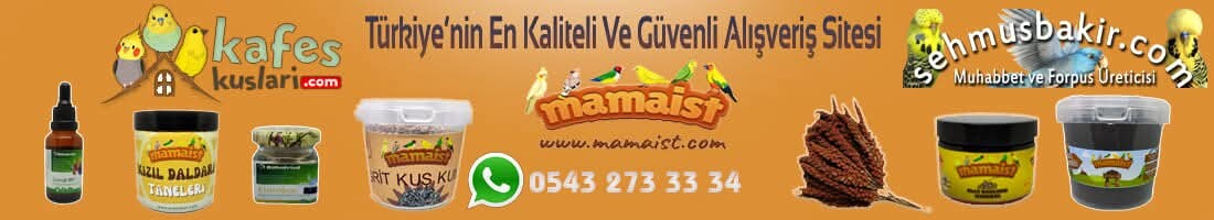 resim yükle