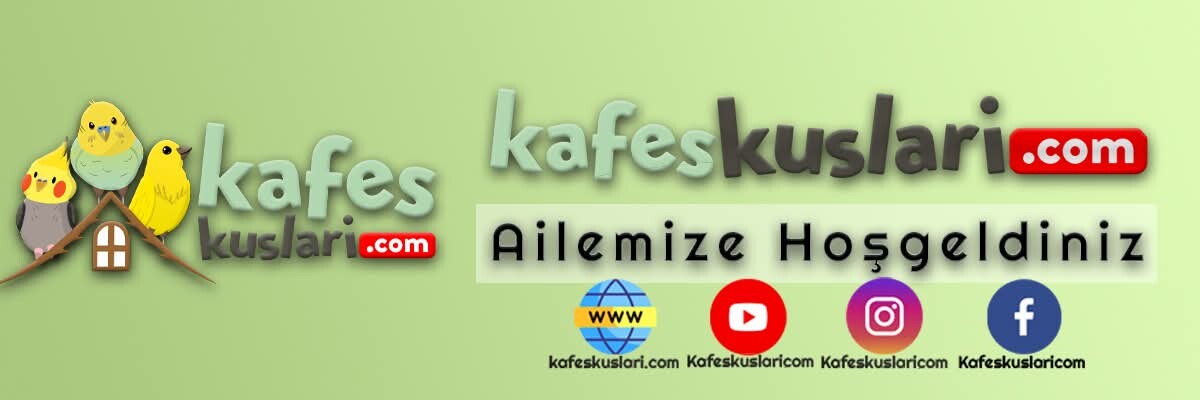 resim yükle