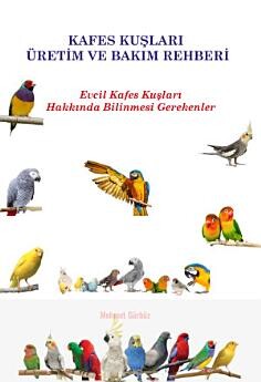 resim yükle