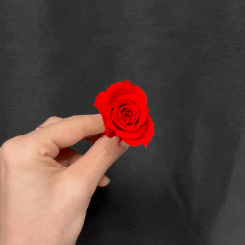 E2uXmH.gif